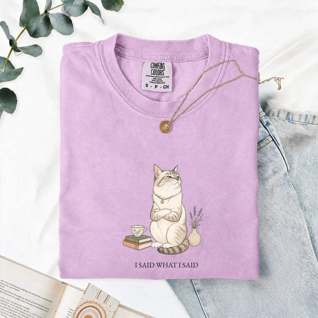 I Said What I Said - Comfort Tee