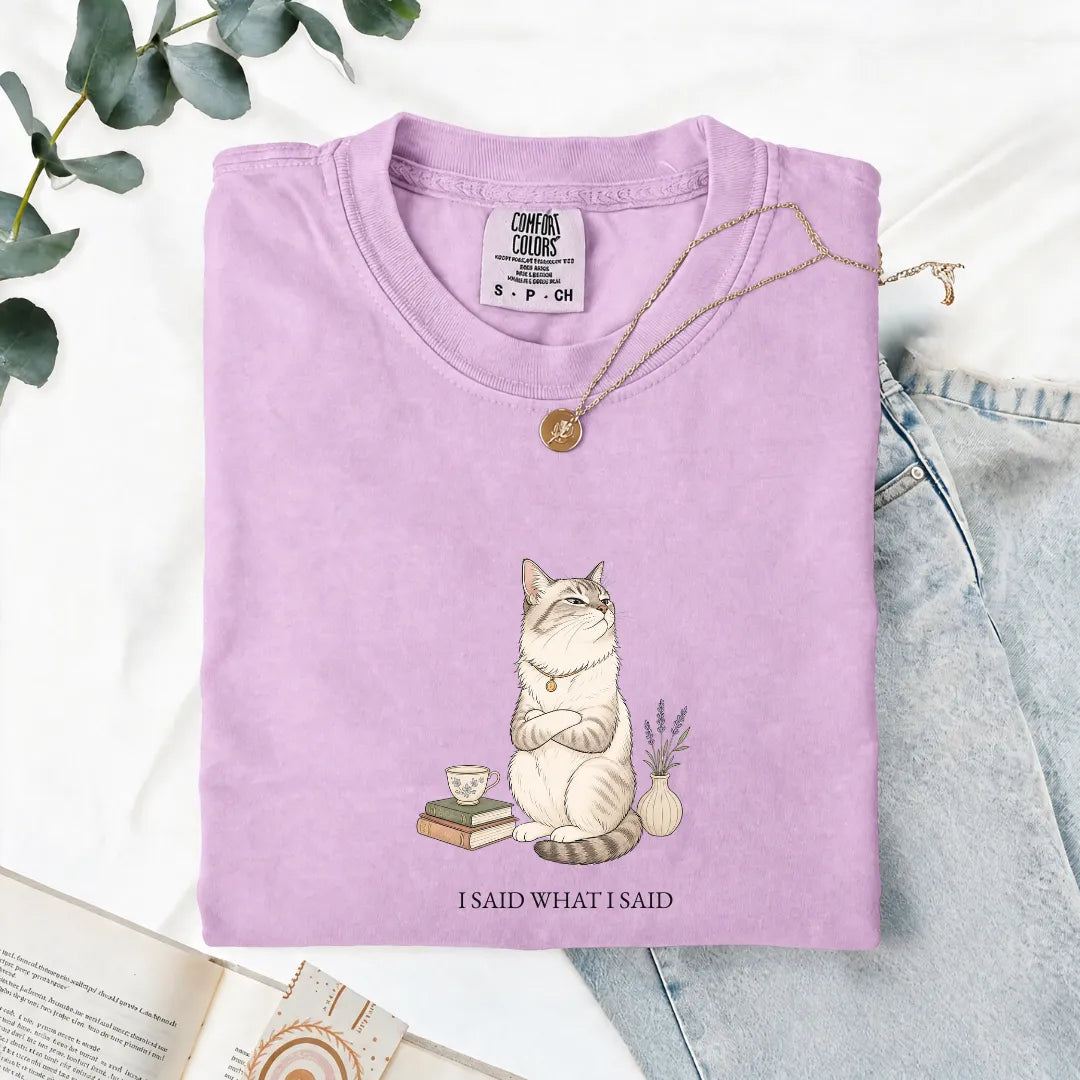 I Said What I Said - Comfort Tee