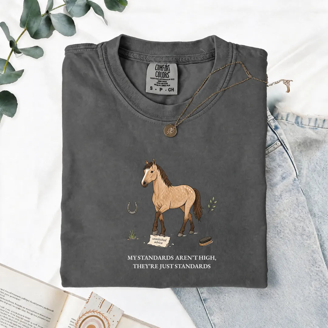 My Standards Aren't High, They're Just Standards - Comfort Tee