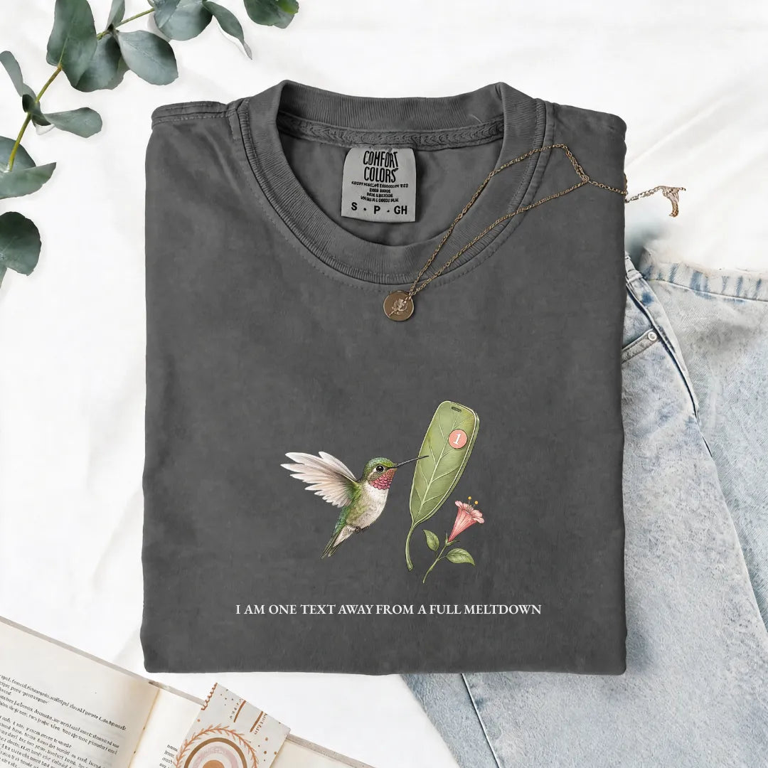 I Am One Text Away From A Full Meltdown - Comfort Tee