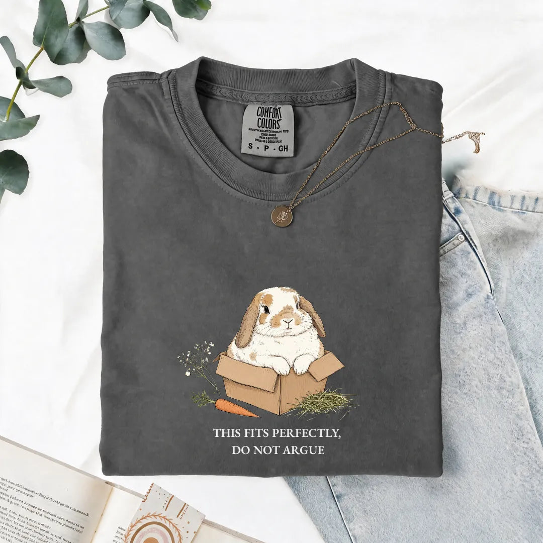 This Fits Perfectly, Do Not Argue - Comfort Tee