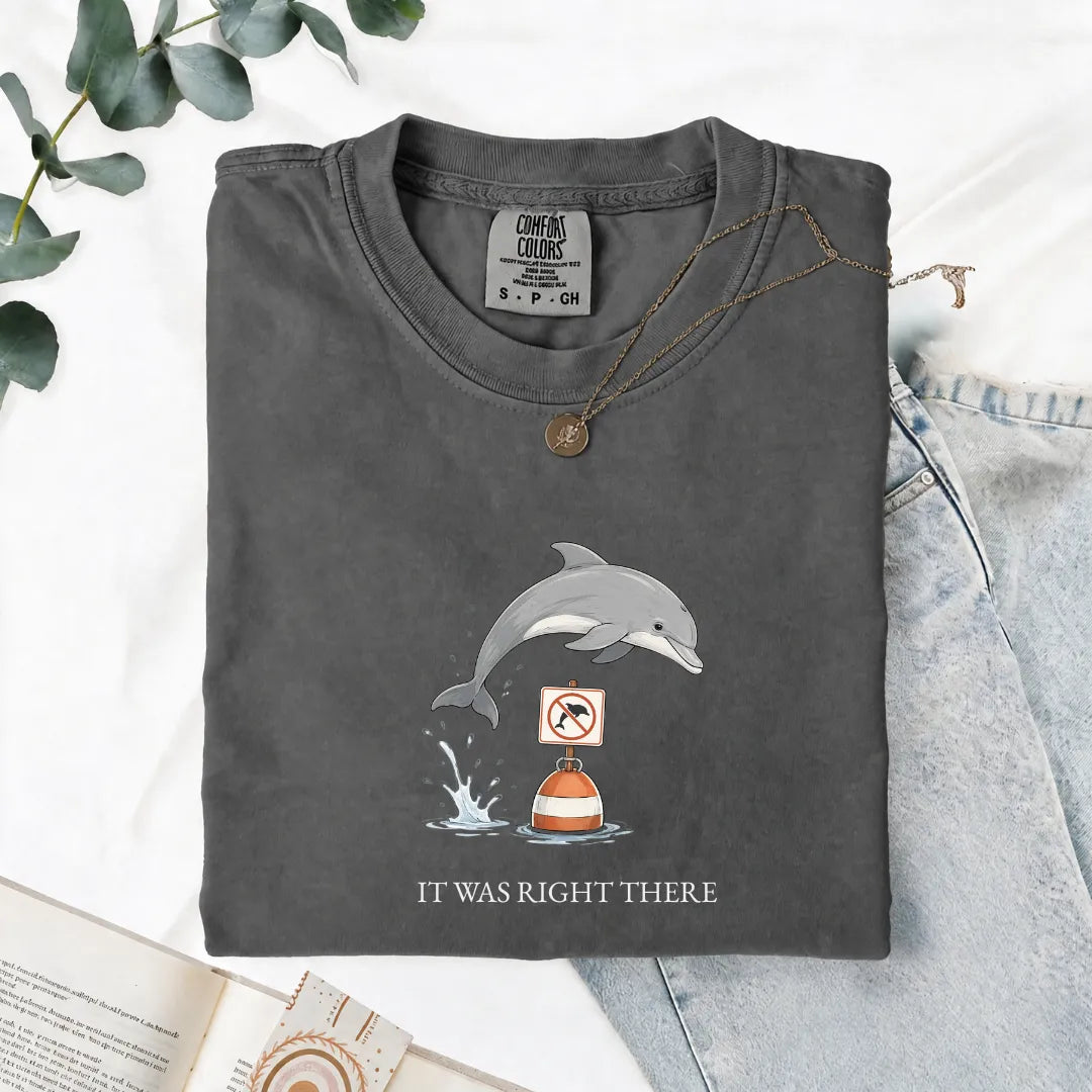 It Was Right There - Comfort Tee