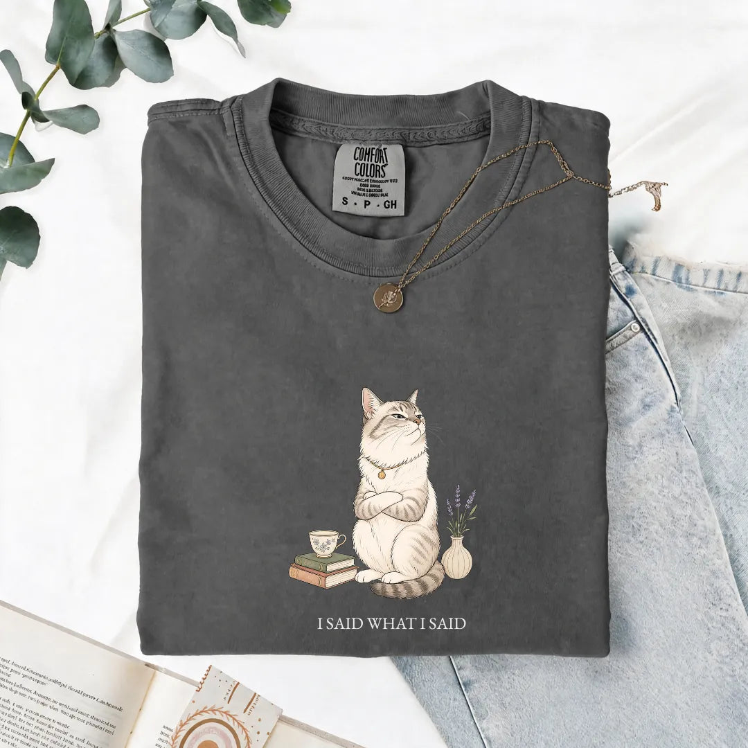 I Said What I Said - Comfort Tee