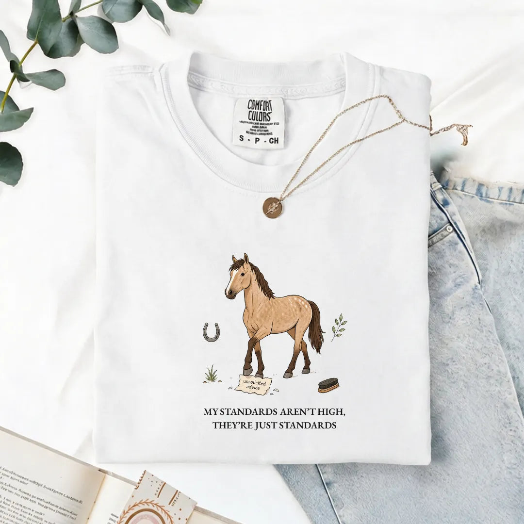 My Standards Aren't High, They're Just Standards - Comfort Tee
