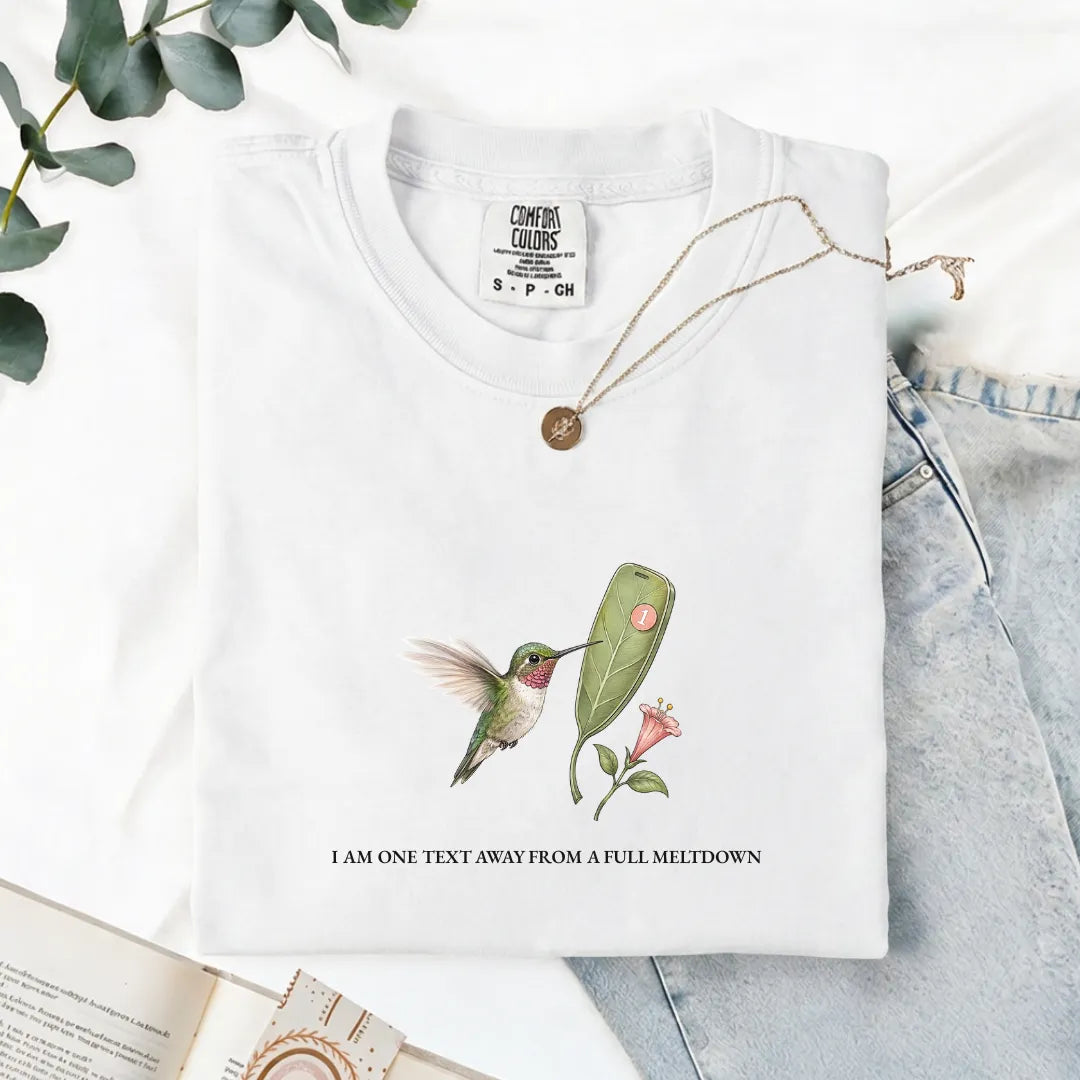 I Am One Text Away From A Full Meltdown - Comfort Tee