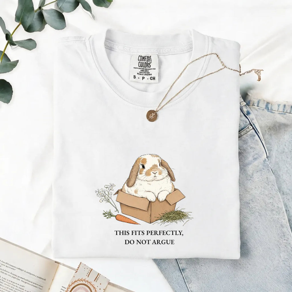 This Fits Perfectly, Do Not Argue - Comfort Tee
