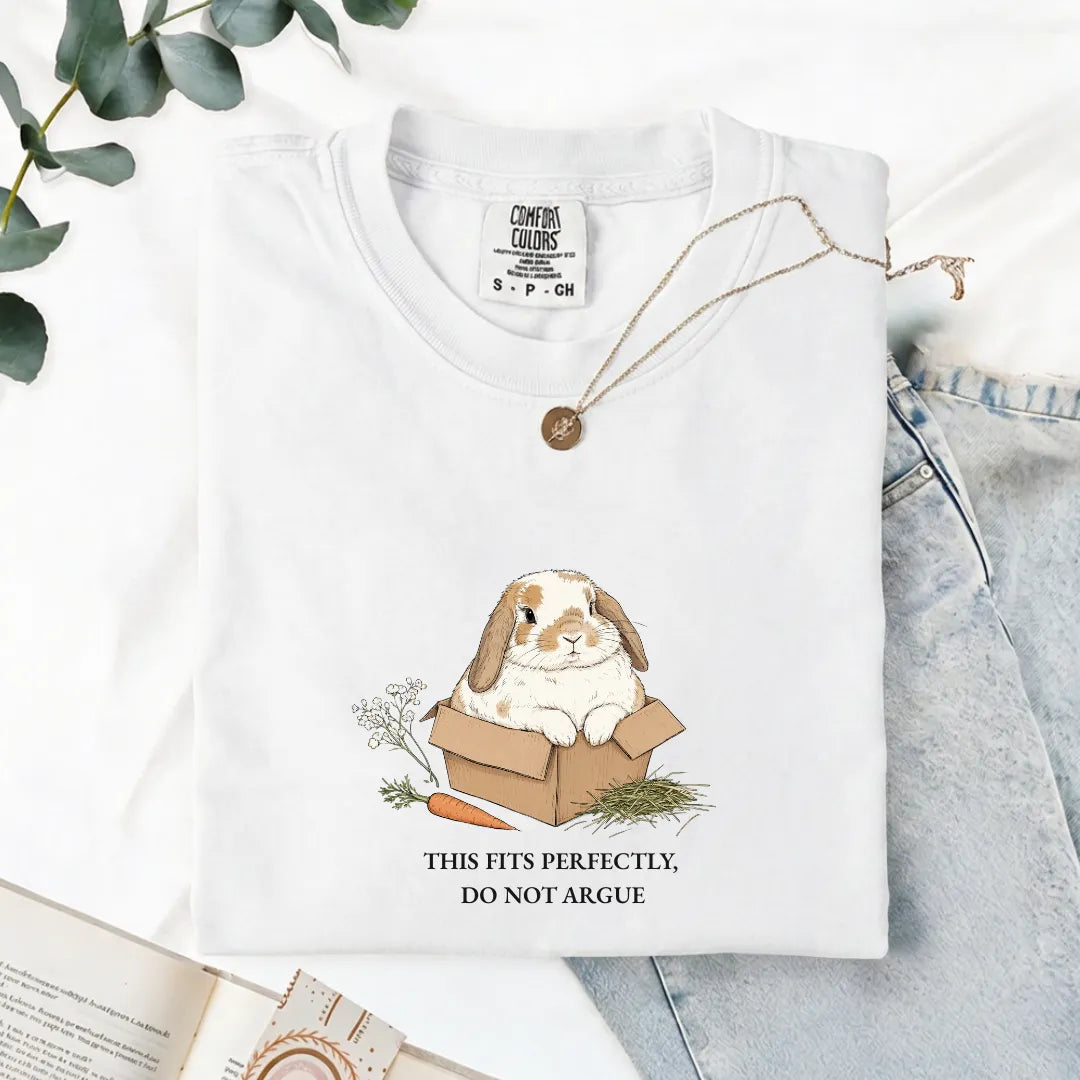 This Fits Perfectly, Do Not Argue - Comfort Tee