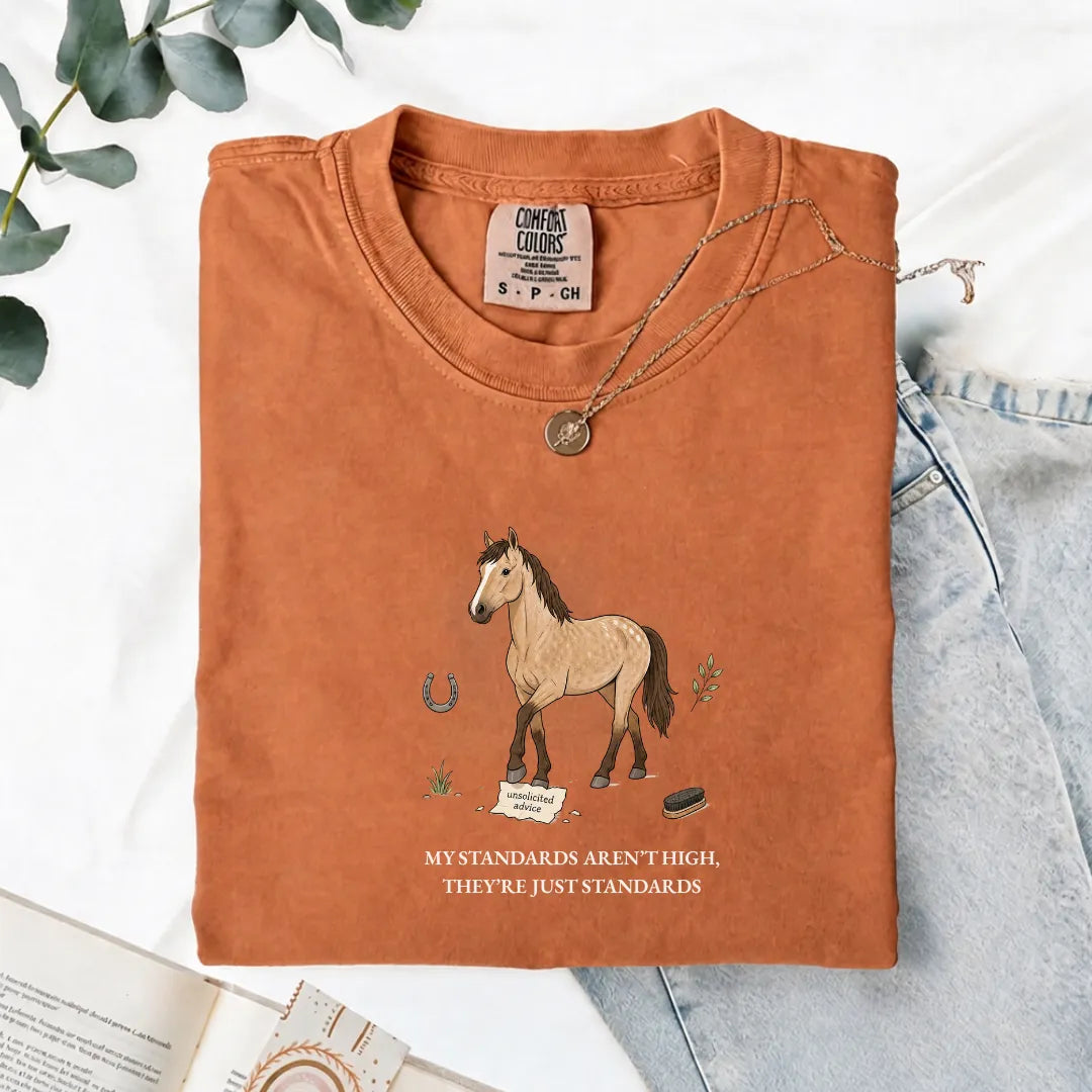 My Standards Aren't High, They're Just Standards - Comfort Tee