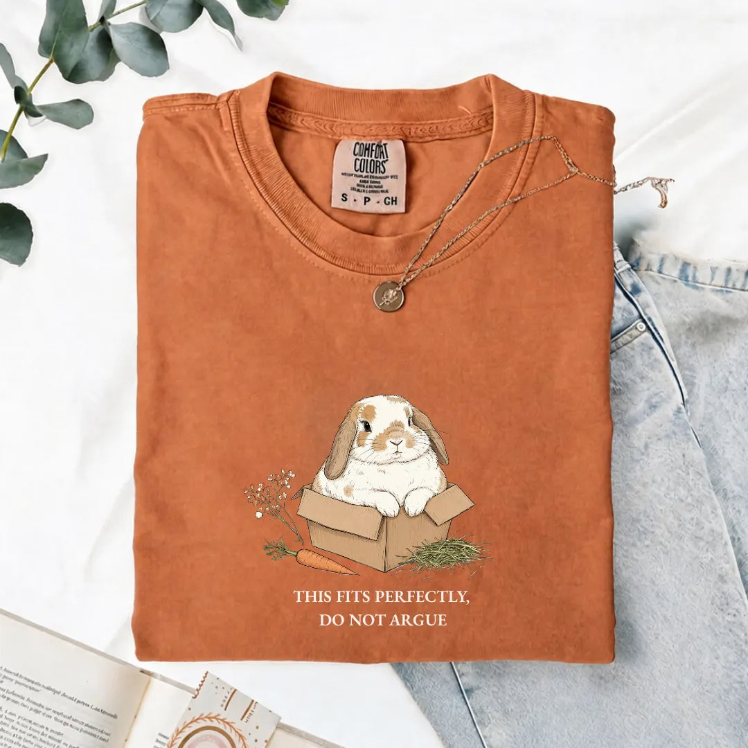 This Fits Perfectly, Do Not Argue - Comfort Tee