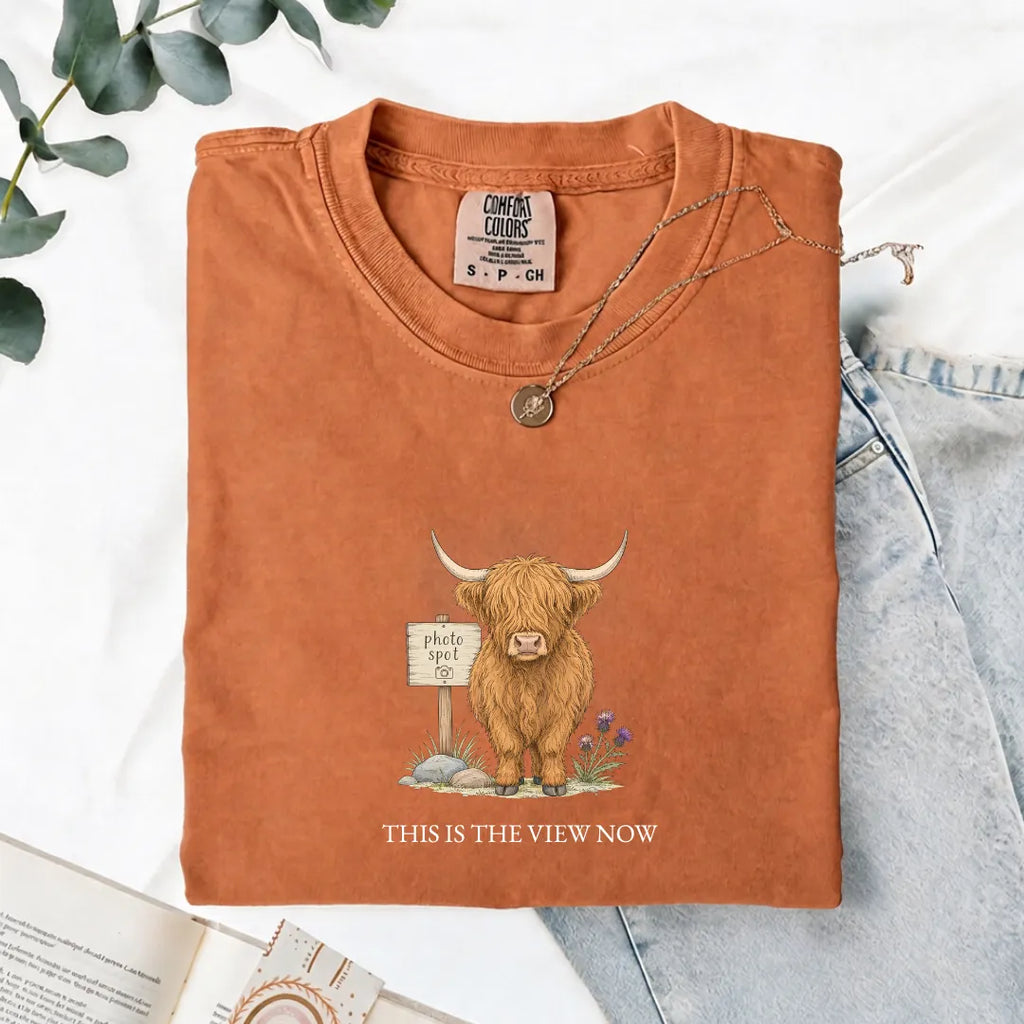 This Is The View Now - Comfort Tee