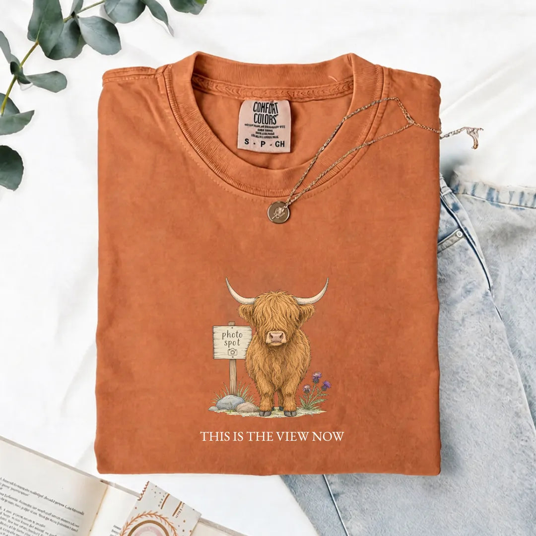 This Is The View Now - Comfort Tee
