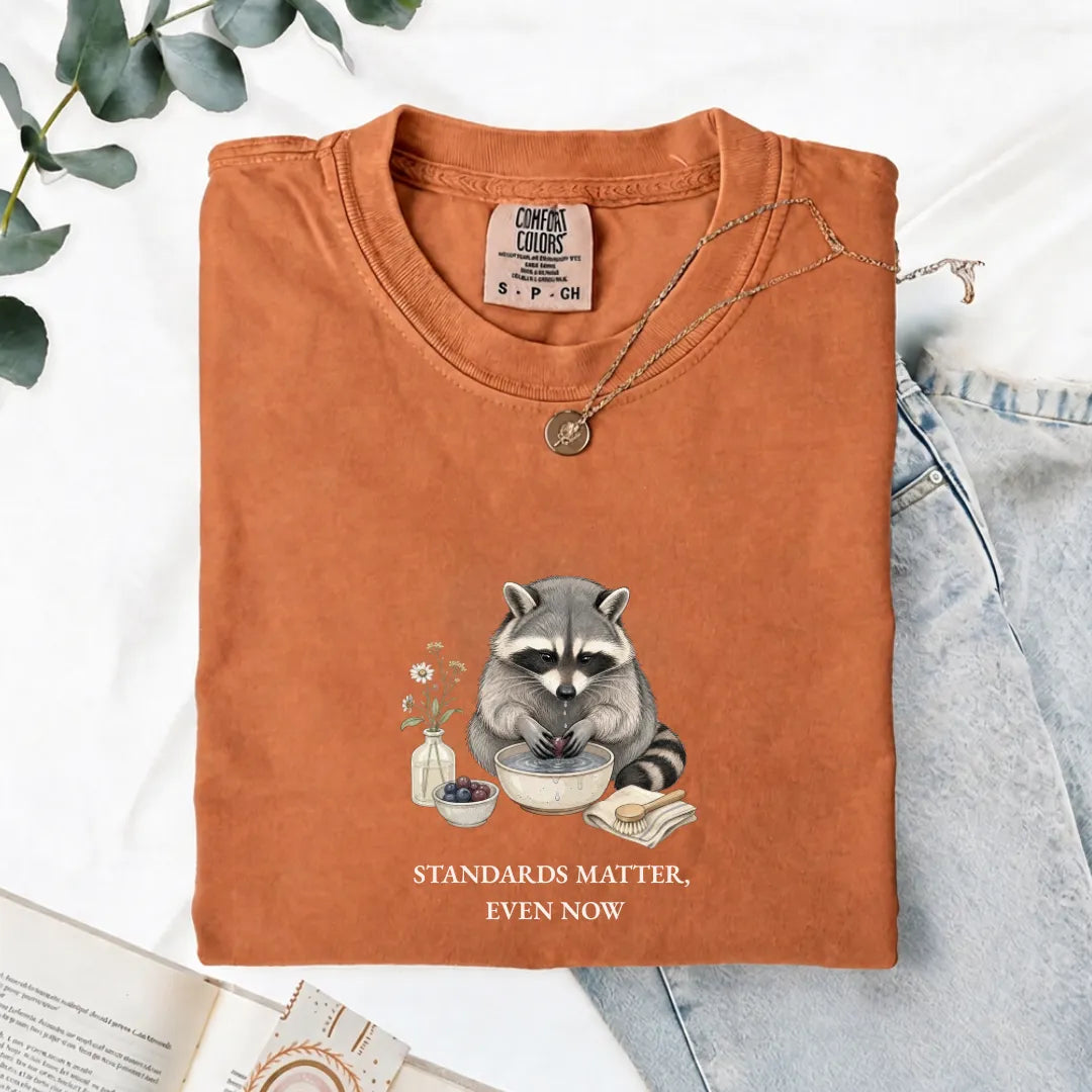 Standards Matter, Even Now - Comfort Tee