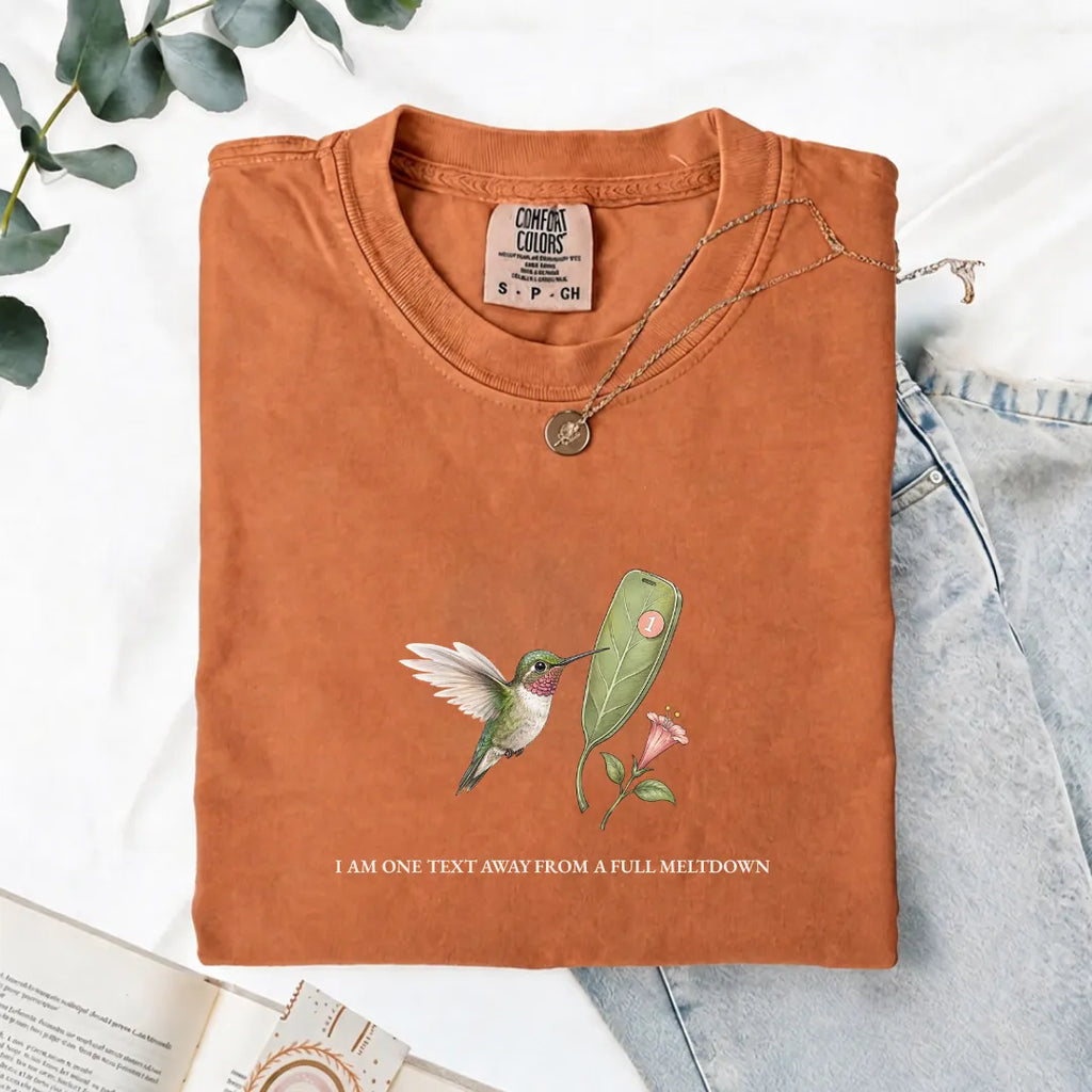 I Am One Text Away From A Full Meltdown - Comfort Tee