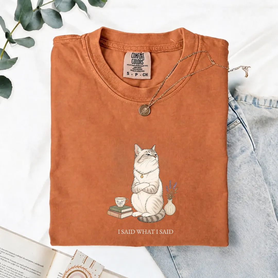 I Said What I Said - Comfort Tee
